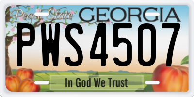 GA license plate PWS4507
