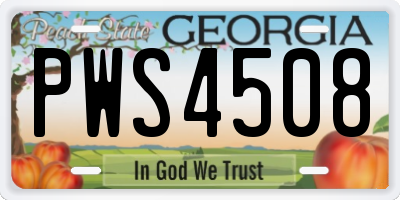 GA license plate PWS4508