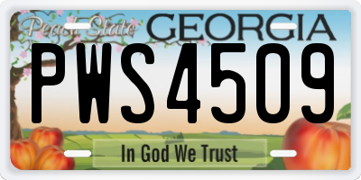 GA license plate PWS4509