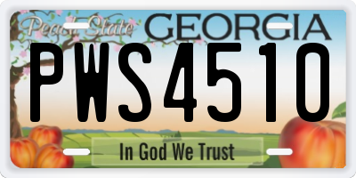 GA license plate PWS4510