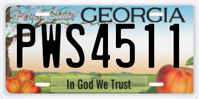 GA license plate PWS4511