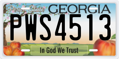 GA license plate PWS4513