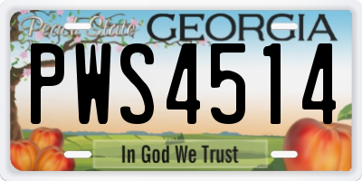 GA license plate PWS4514