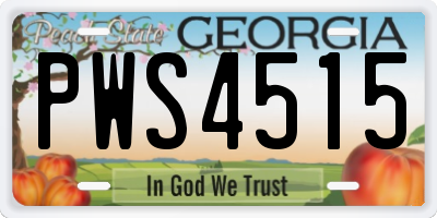 GA license plate PWS4515