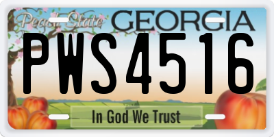 GA license plate PWS4516
