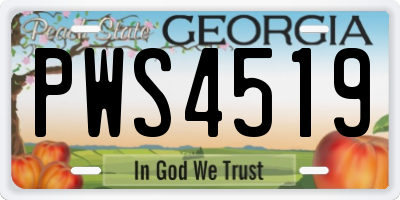 GA license plate PWS4519