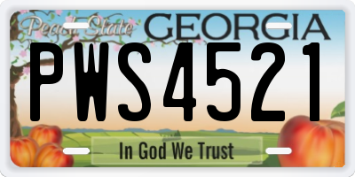 GA license plate PWS4521