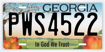 GA license plate PWS4522