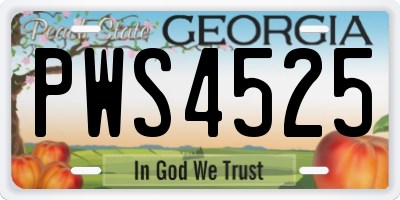 GA license plate PWS4525