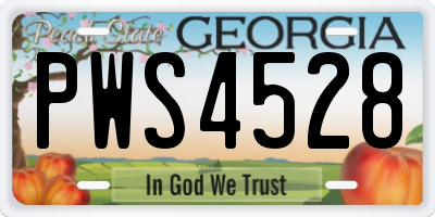 GA license plate PWS4528