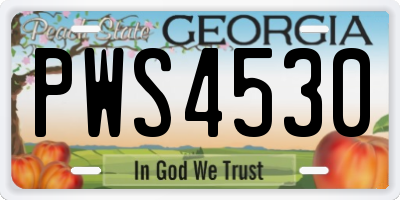 GA license plate PWS4530
