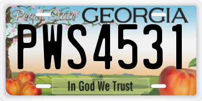 GA license plate PWS4531