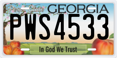 GA license plate PWS4533