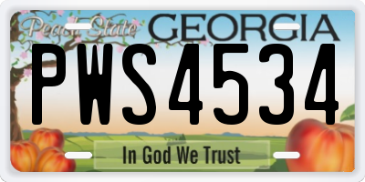 GA license plate PWS4534