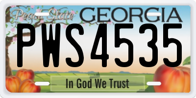 GA license plate PWS4535