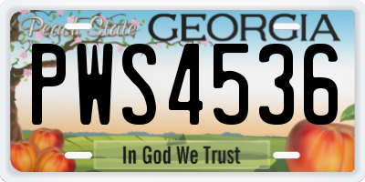 GA license plate PWS4536