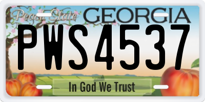 GA license plate PWS4537