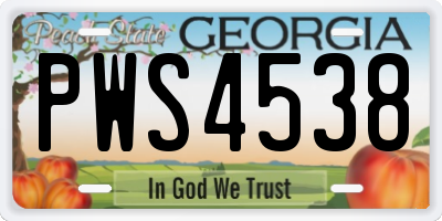 GA license plate PWS4538