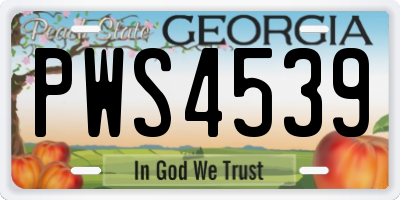 GA license plate PWS4539