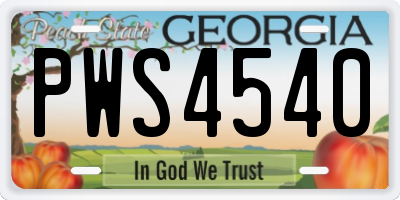 GA license plate PWS4540