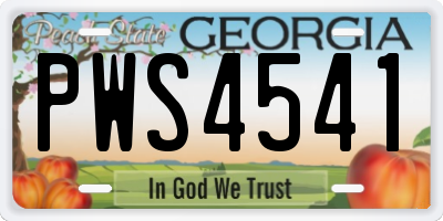 GA license plate PWS4541