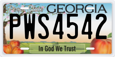 GA license plate PWS4542