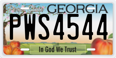GA license plate PWS4544