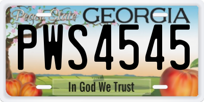 GA license plate PWS4545