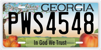 GA license plate PWS4548