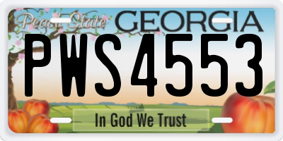 GA license plate PWS4553