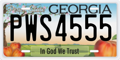 GA license plate PWS4555