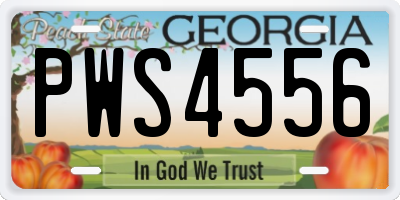 GA license plate PWS4556