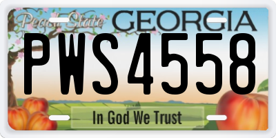 GA license plate PWS4558