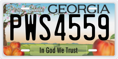 GA license plate PWS4559