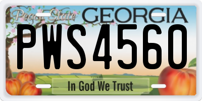GA license plate PWS4560