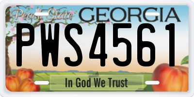 GA license plate PWS4561