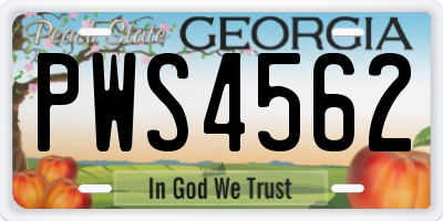 GA license plate PWS4562