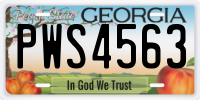 GA license plate PWS4563