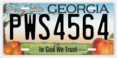 GA license plate PWS4564