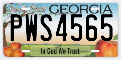 GA license plate PWS4565