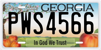 GA license plate PWS4566