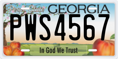 GA license plate PWS4567