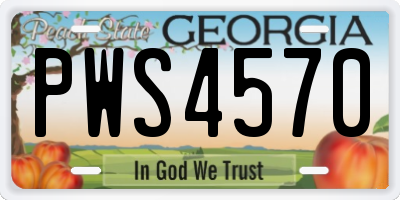 GA license plate PWS4570
