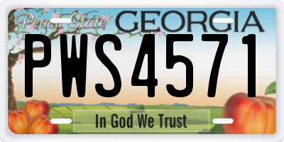 GA license plate PWS4571