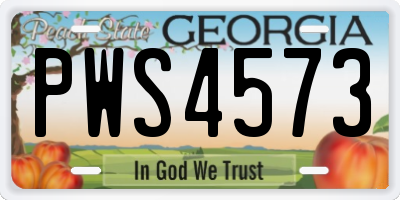 GA license plate PWS4573