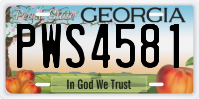 GA license plate PWS4581