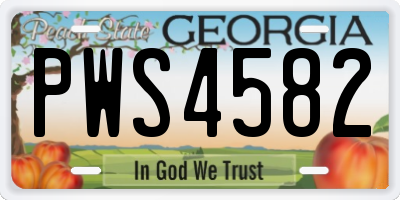 GA license plate PWS4582