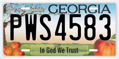 GA license plate PWS4583