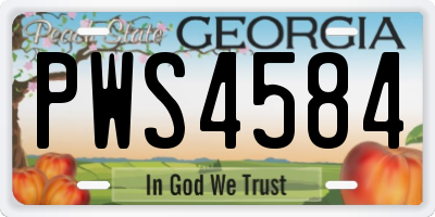 GA license plate PWS4584