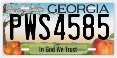 GA license plate PWS4585